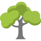 Rogers Tree Trimming