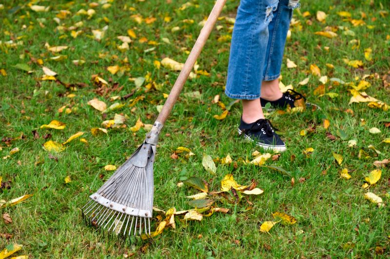 Leaf Raking Process