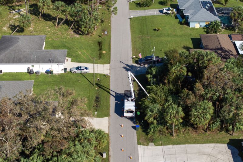 Commercial Tree Service detail