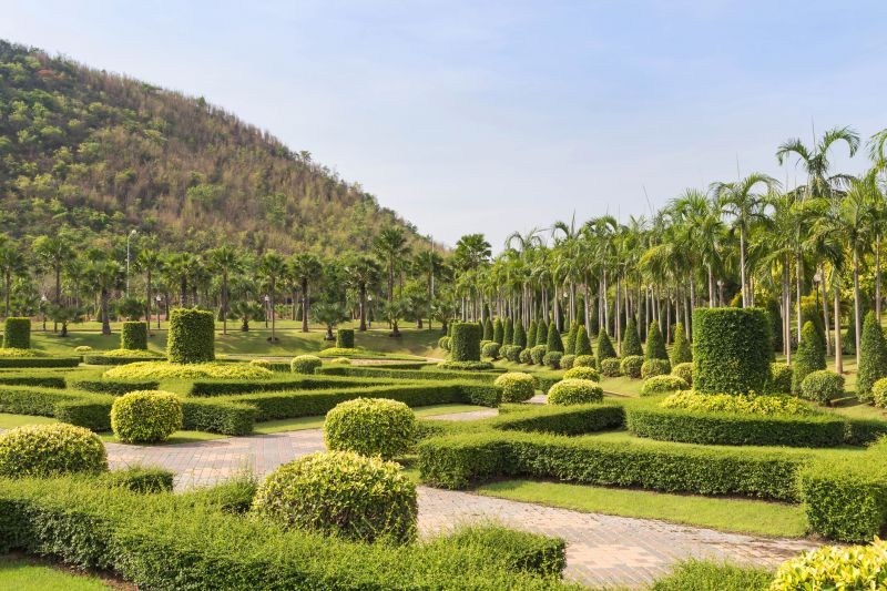 Completed Landscape with Trimmed Trees